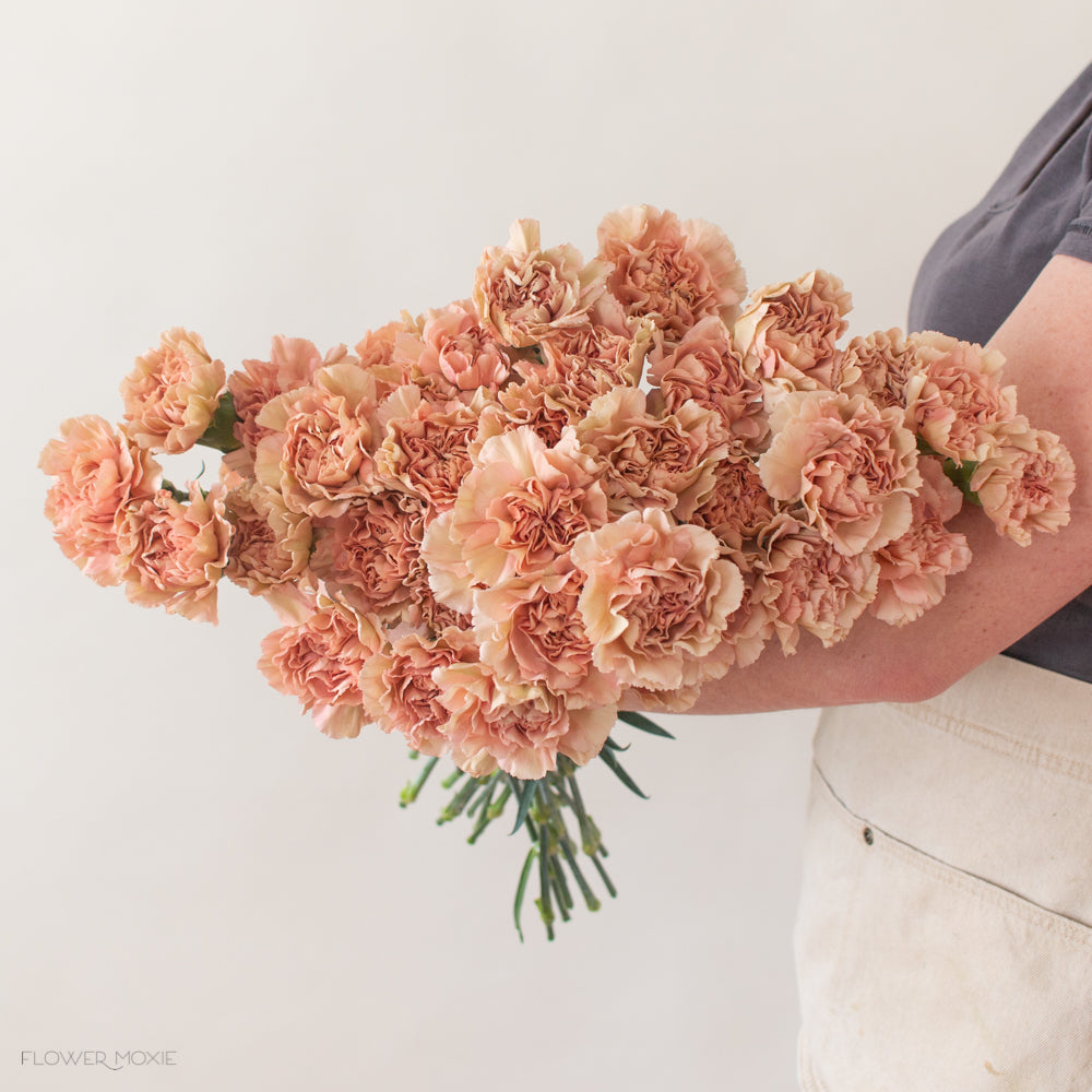 terracotta carnation flower