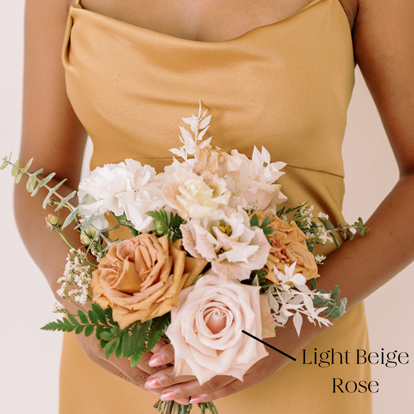 light beige rose, light beige color