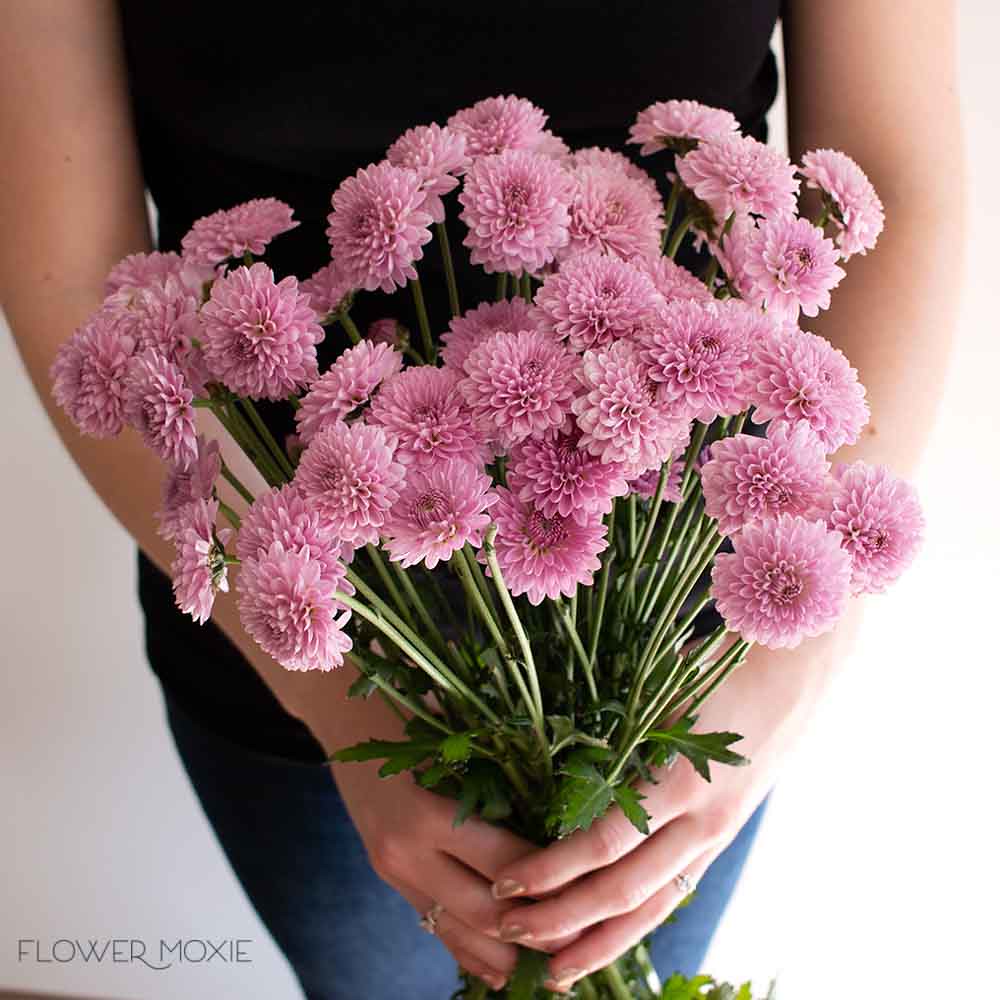 Lavender Button Pom Flower