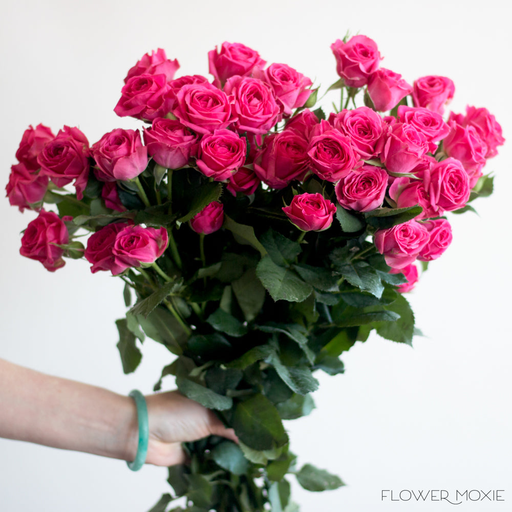 Deep Pink Spray Roses