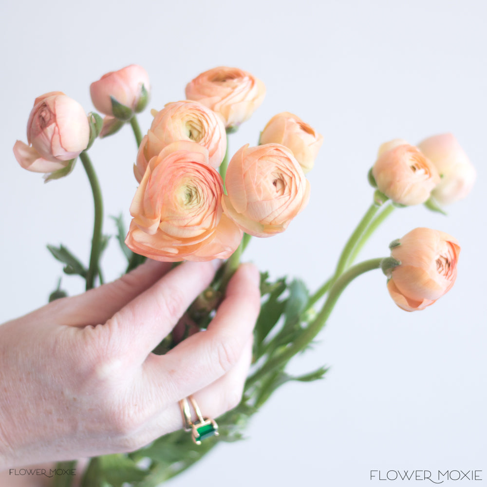 Peach Ranunculus Flower