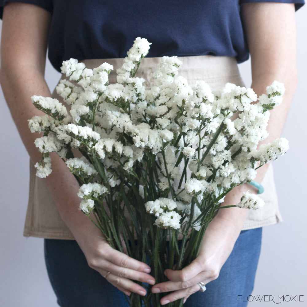 White Statice Flower