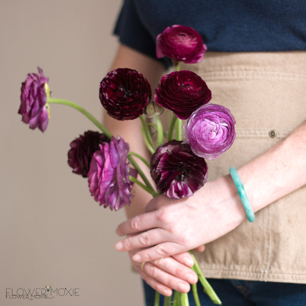 Burgundy Ranunculus Flower