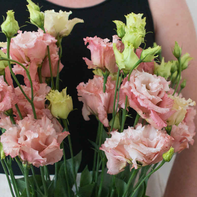 Pink Lisianthus Flower