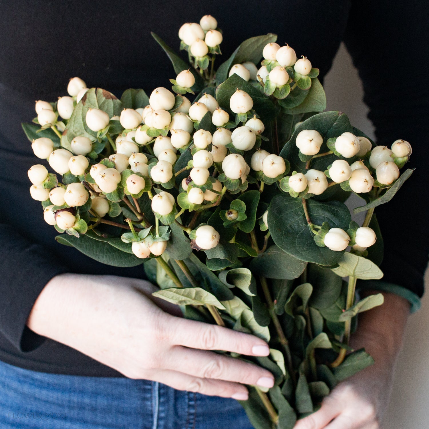 Cream Hypericum Berries