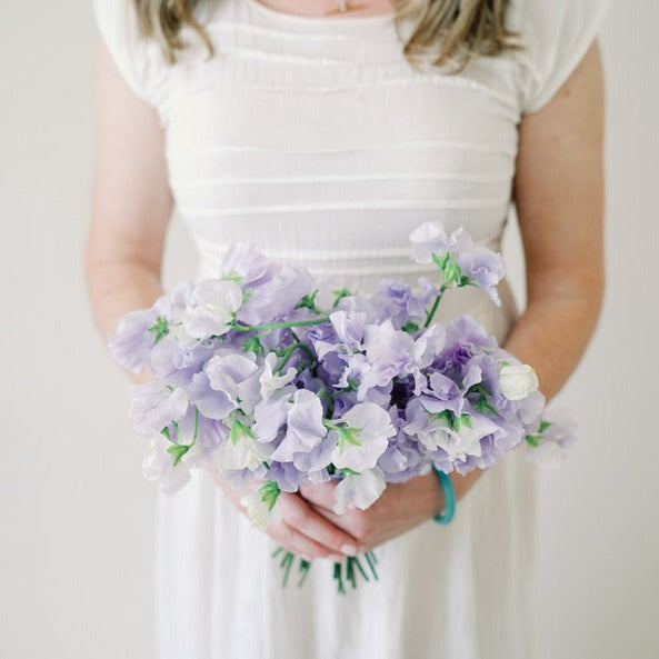 purple sweet pea