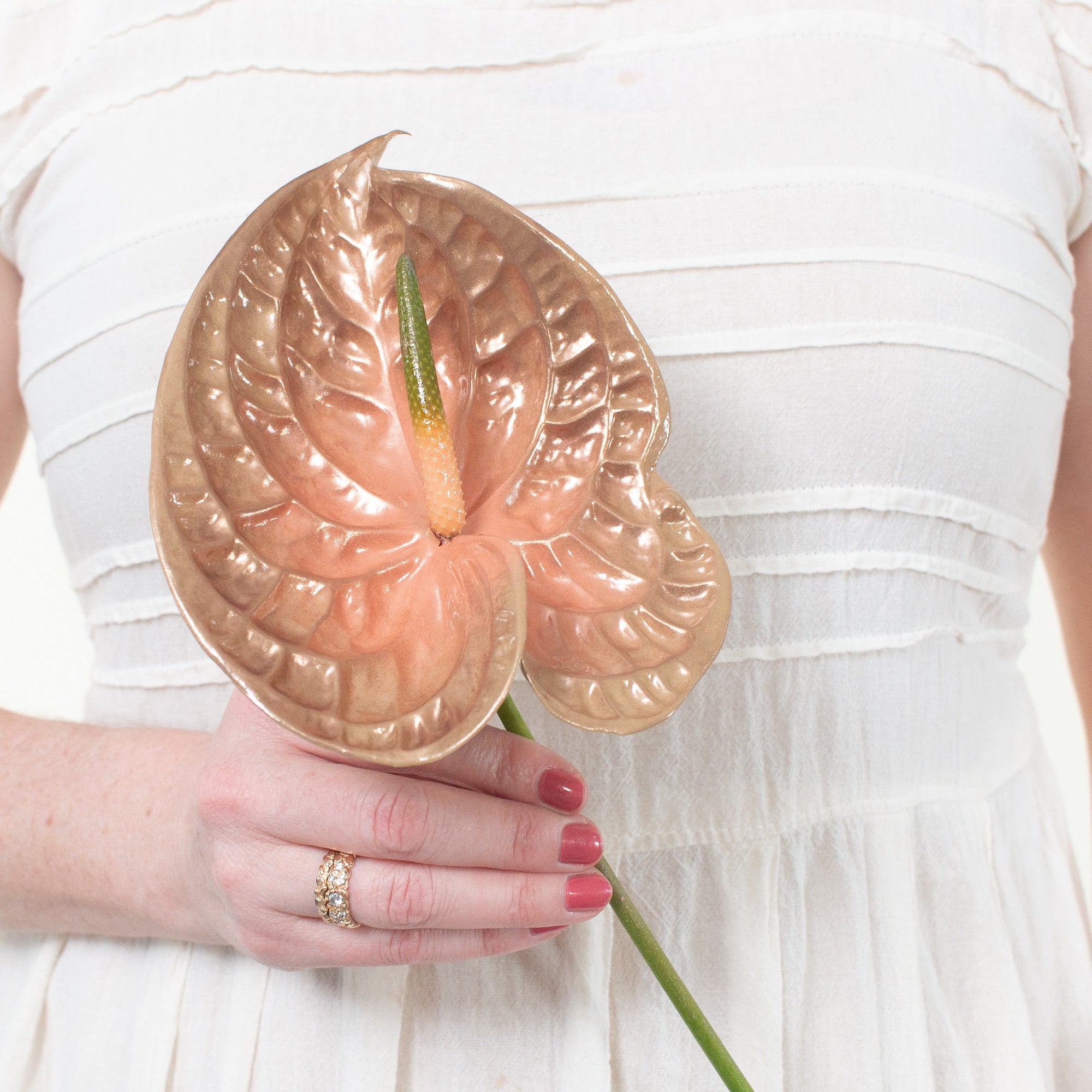 Femme Iridescent Anthurium