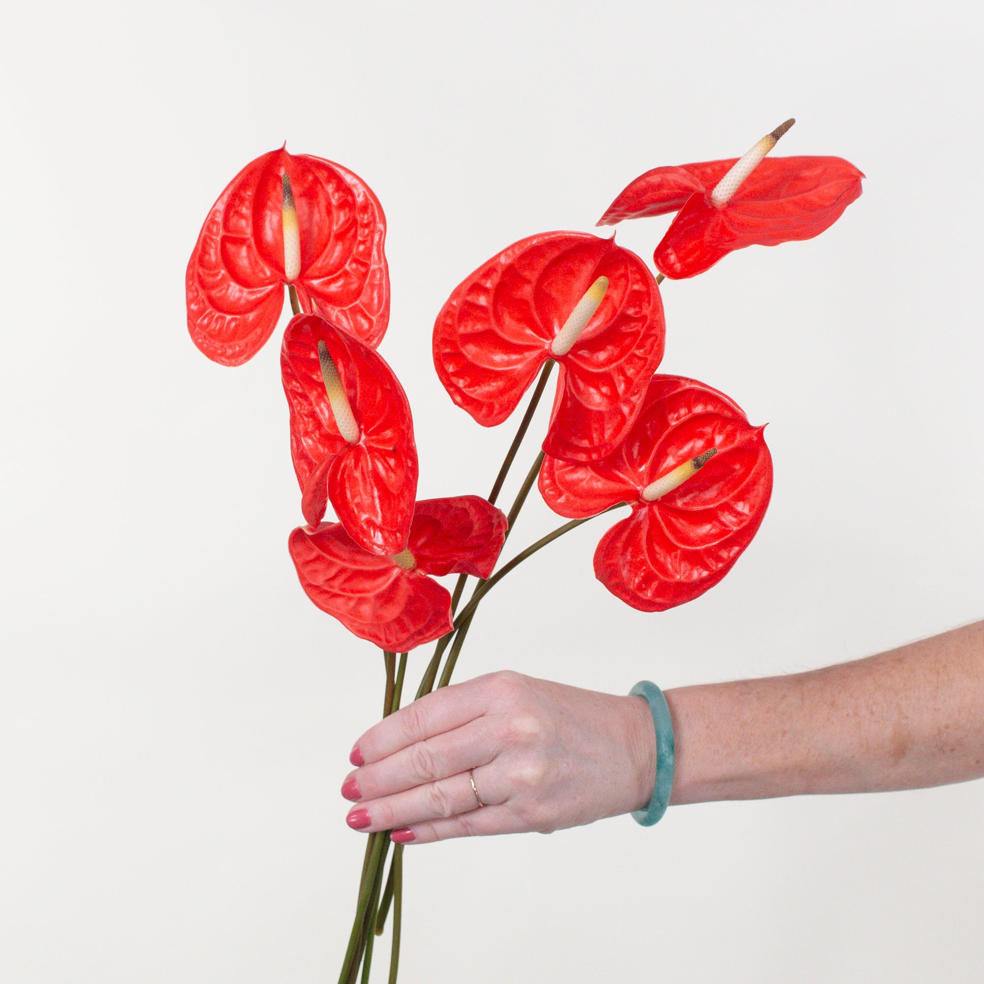 Casino Orange Red Anthurium