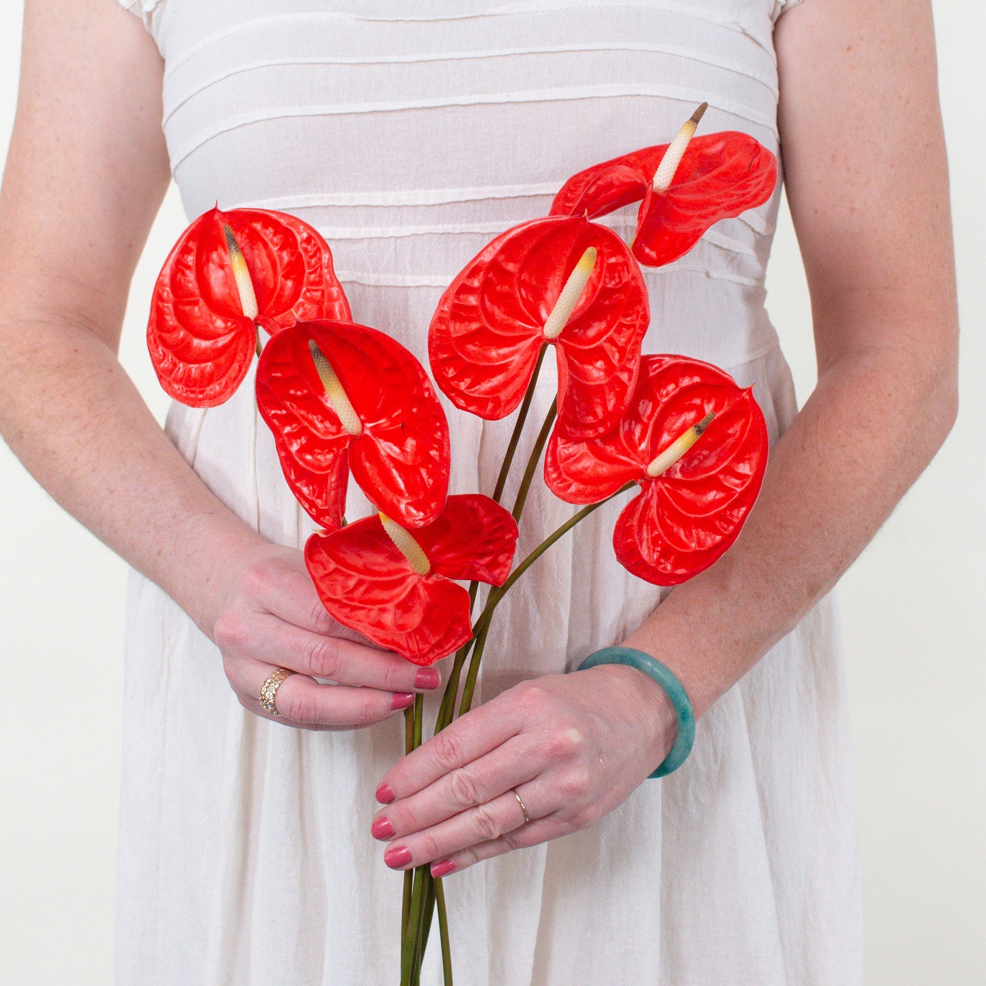 Casino Orange Red Anthurium