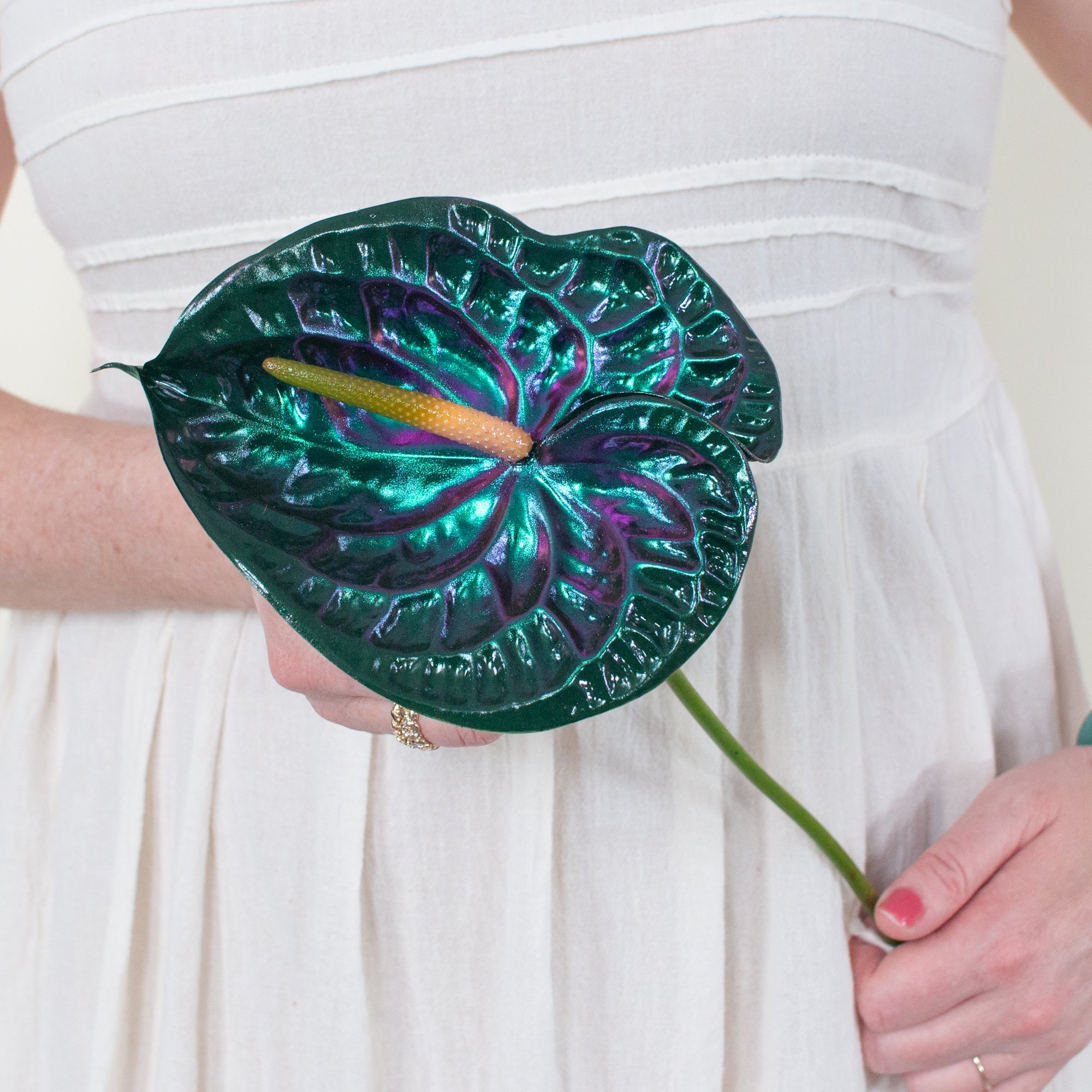 Emerald City Iridescent Anthurium