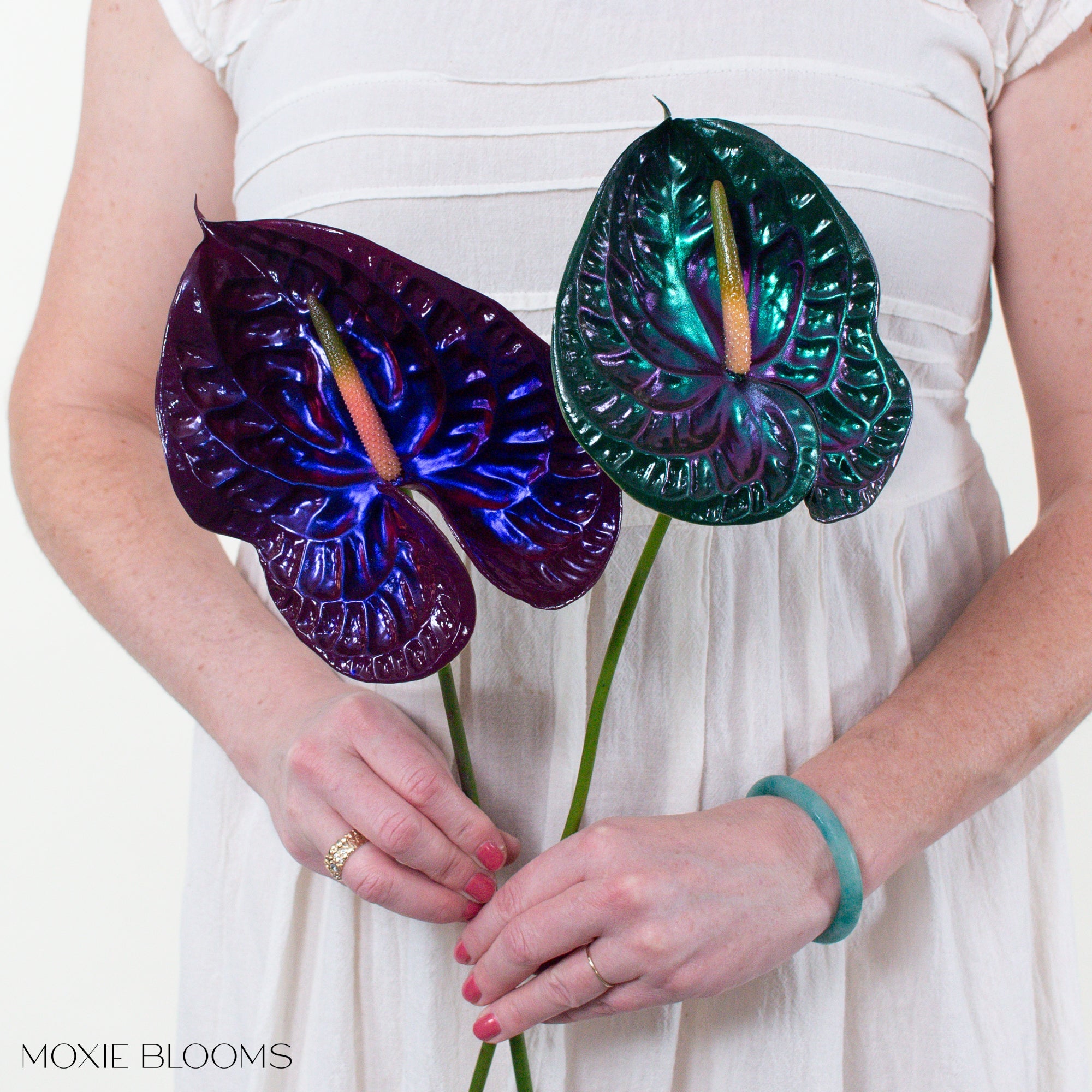 Mood Ring Iridescent Anthurium