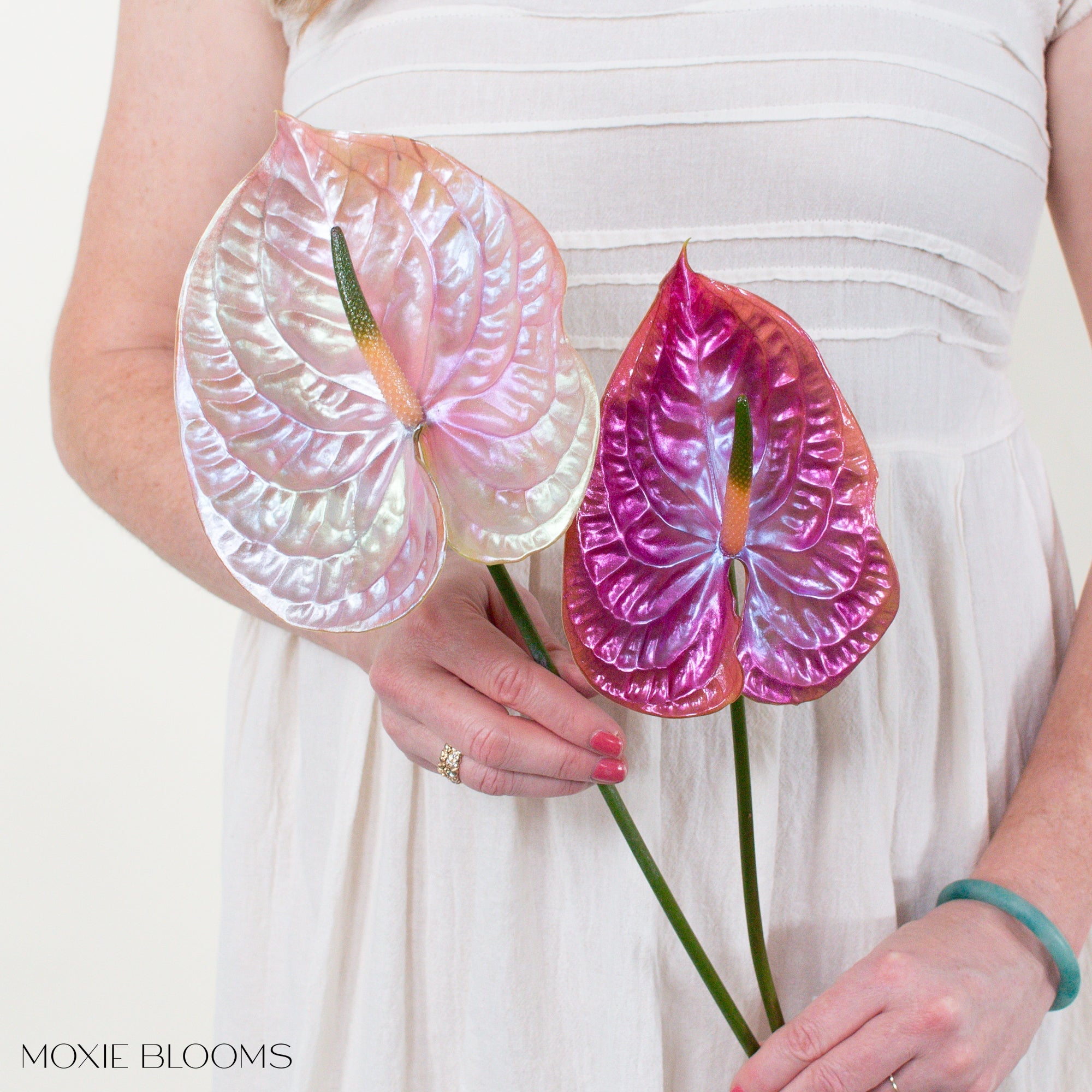 Thelma and Louise Iridescent Anthurium