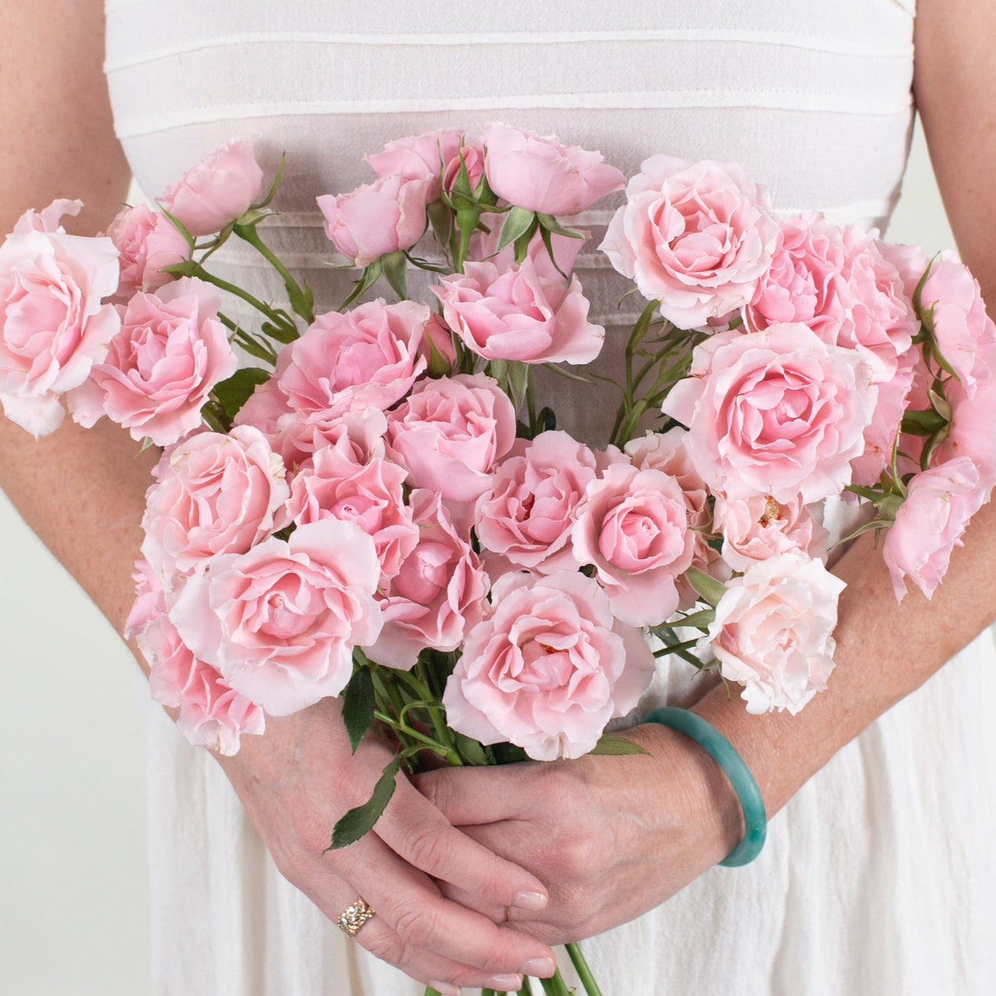 light pink spray rose flower