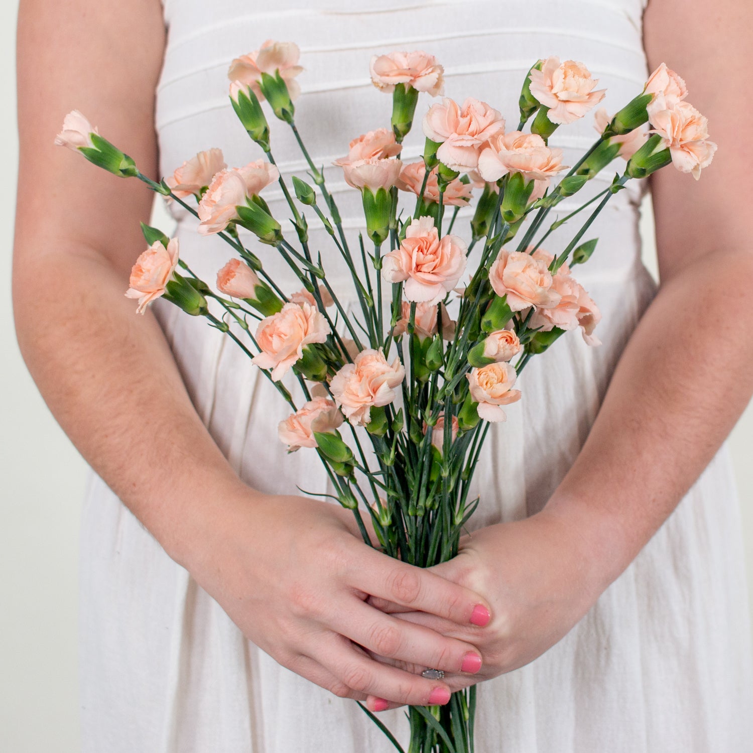 Peach mini carnation flower