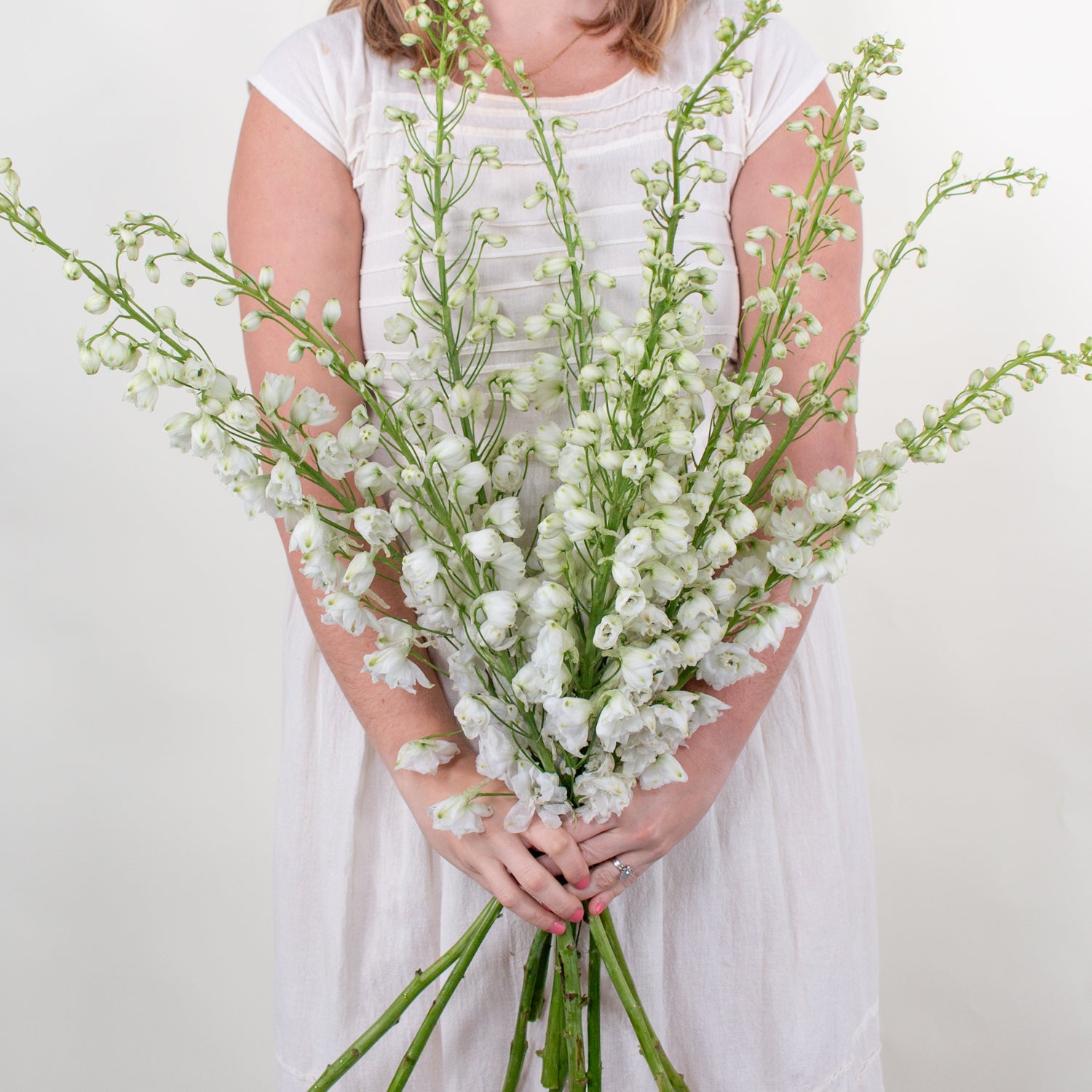 White Delphinium flower