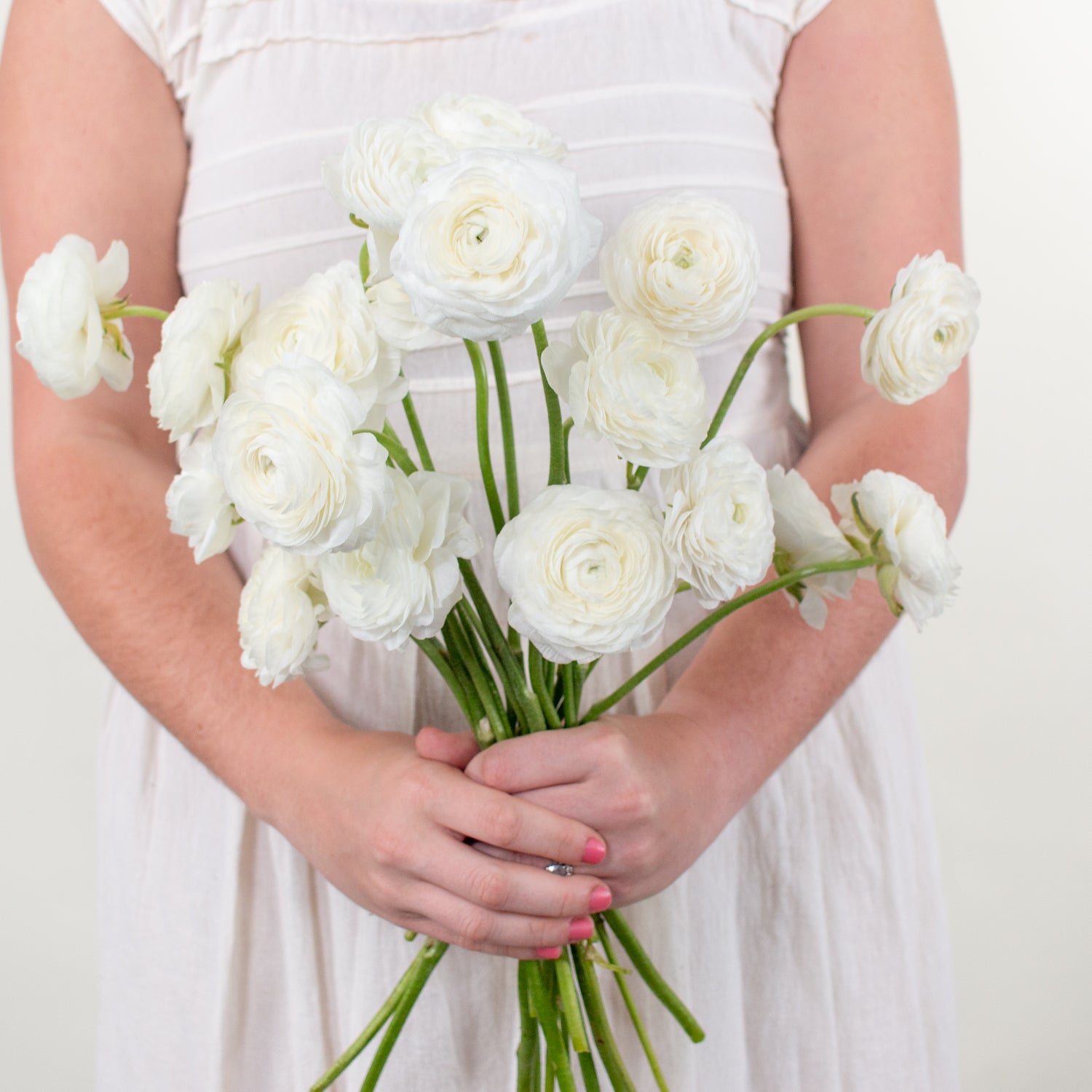 white ranunculus flower