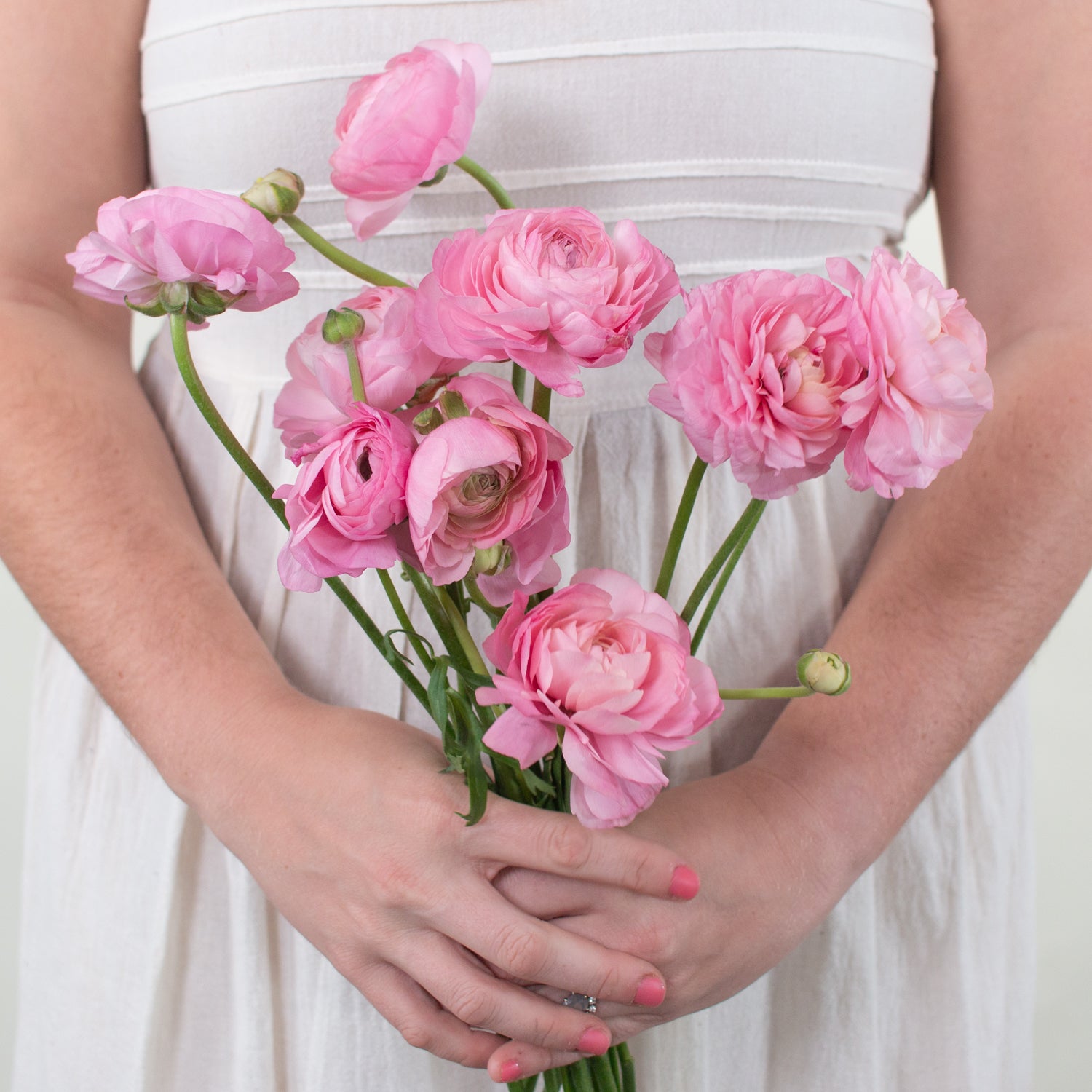 pink ranunculus flower