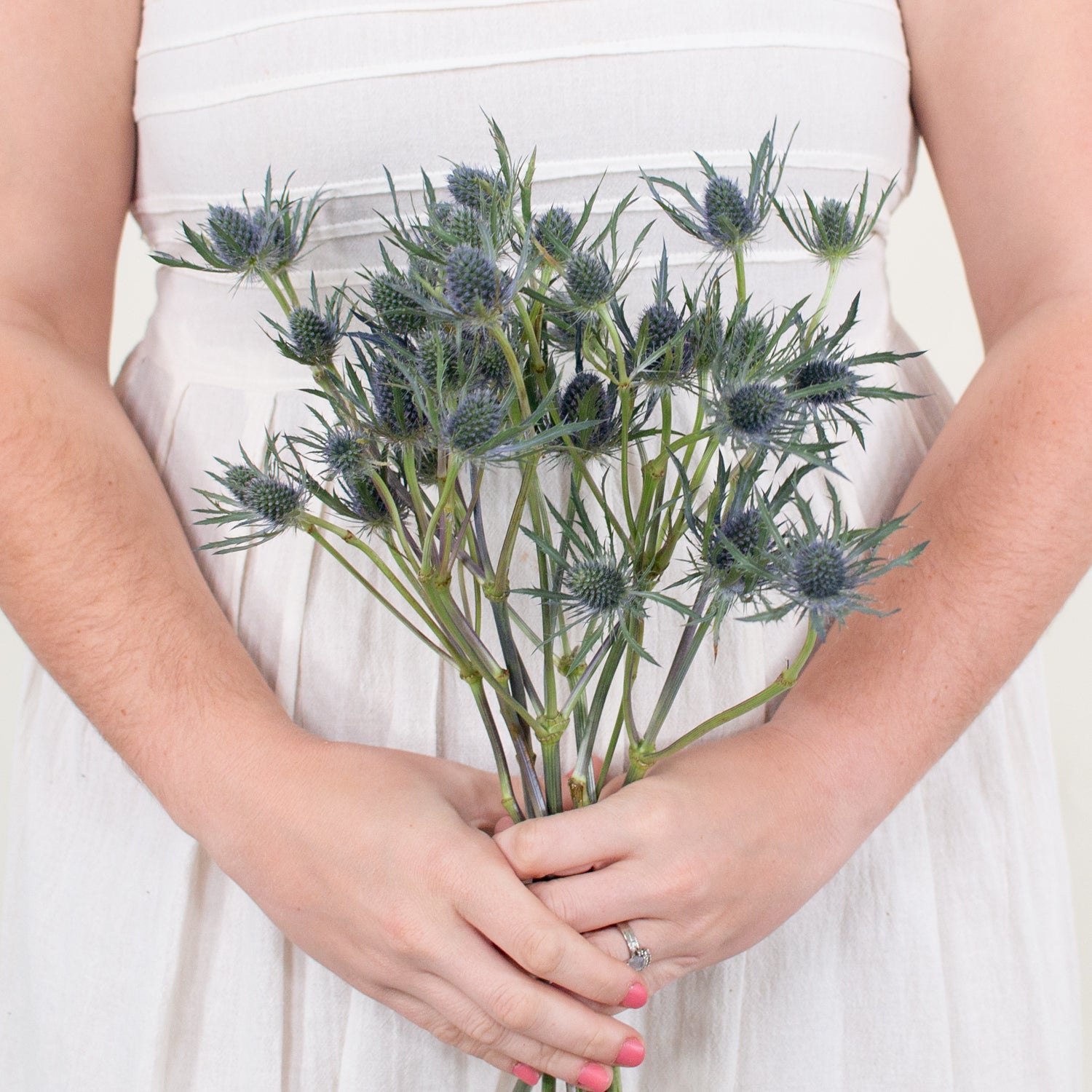 blue thistle flower