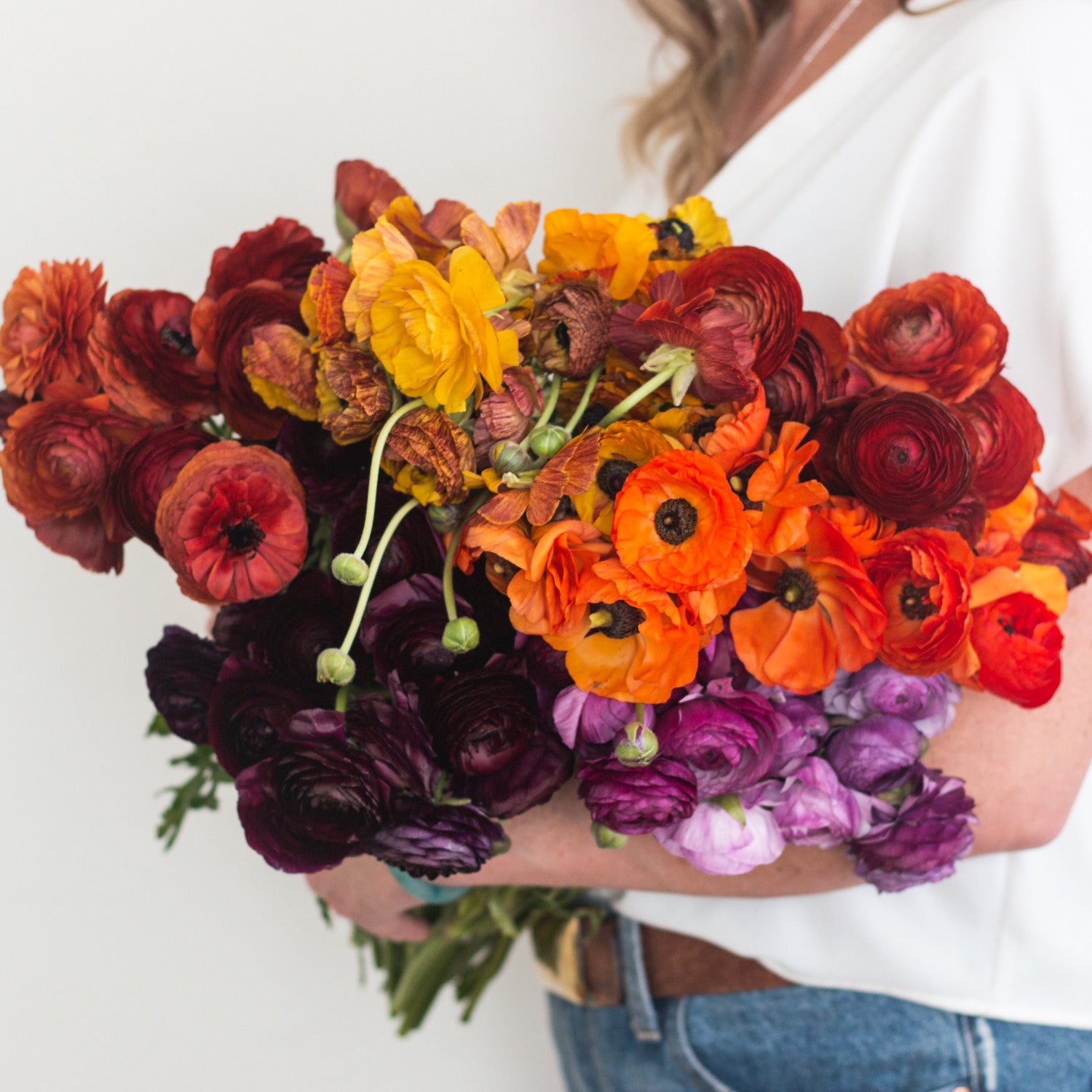 Wholesale Flowers Autumn Ranunculus Mixed Box