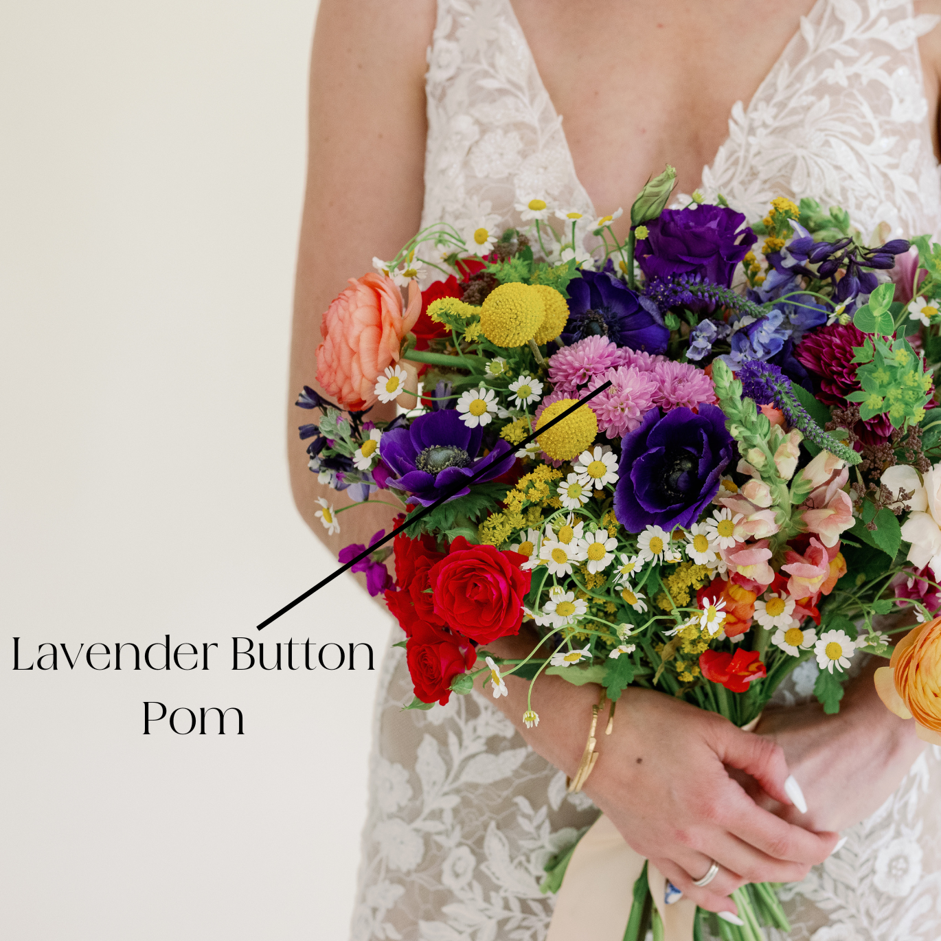 lavender button pom