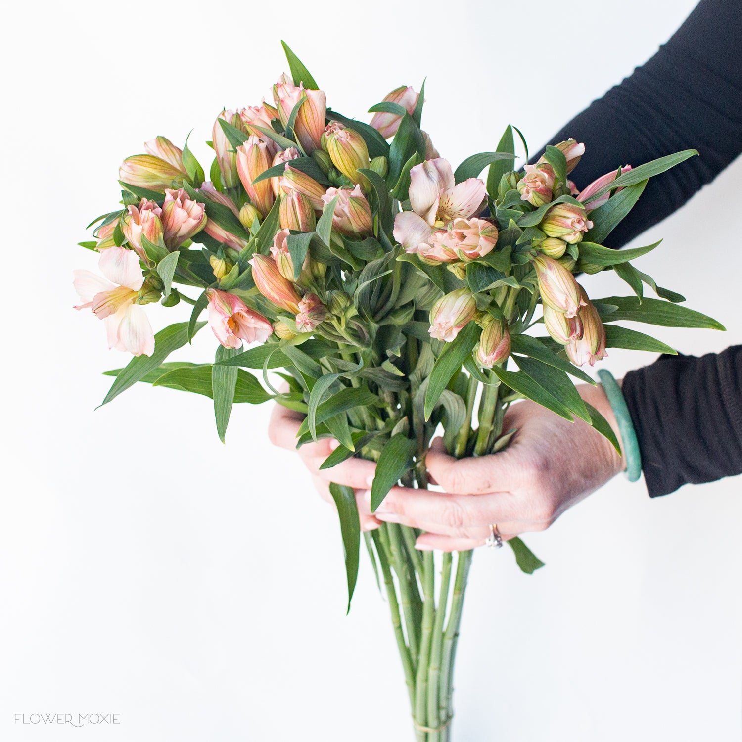 Pink Alstroemeria Flowers