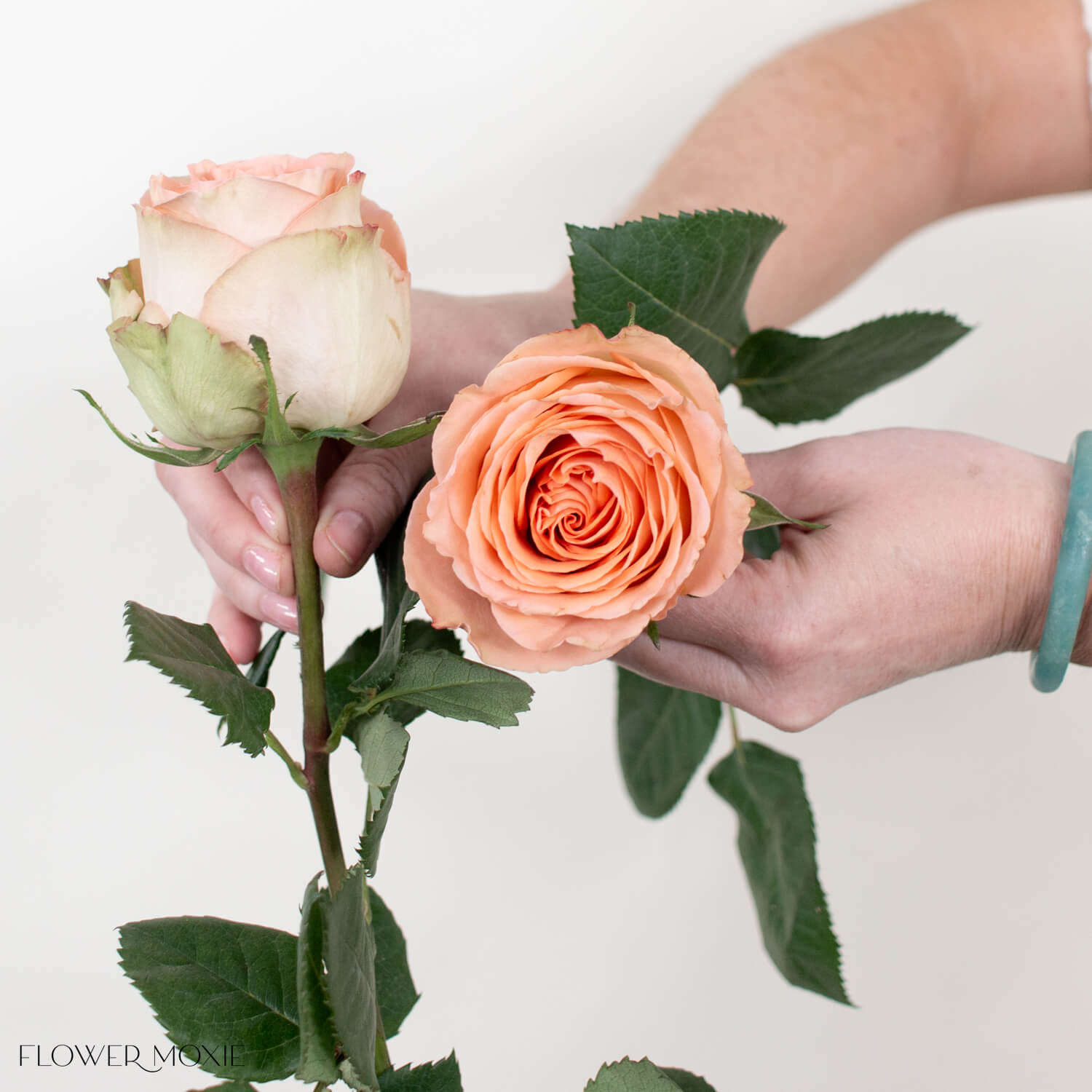 bulk fresh peach roses for wedding