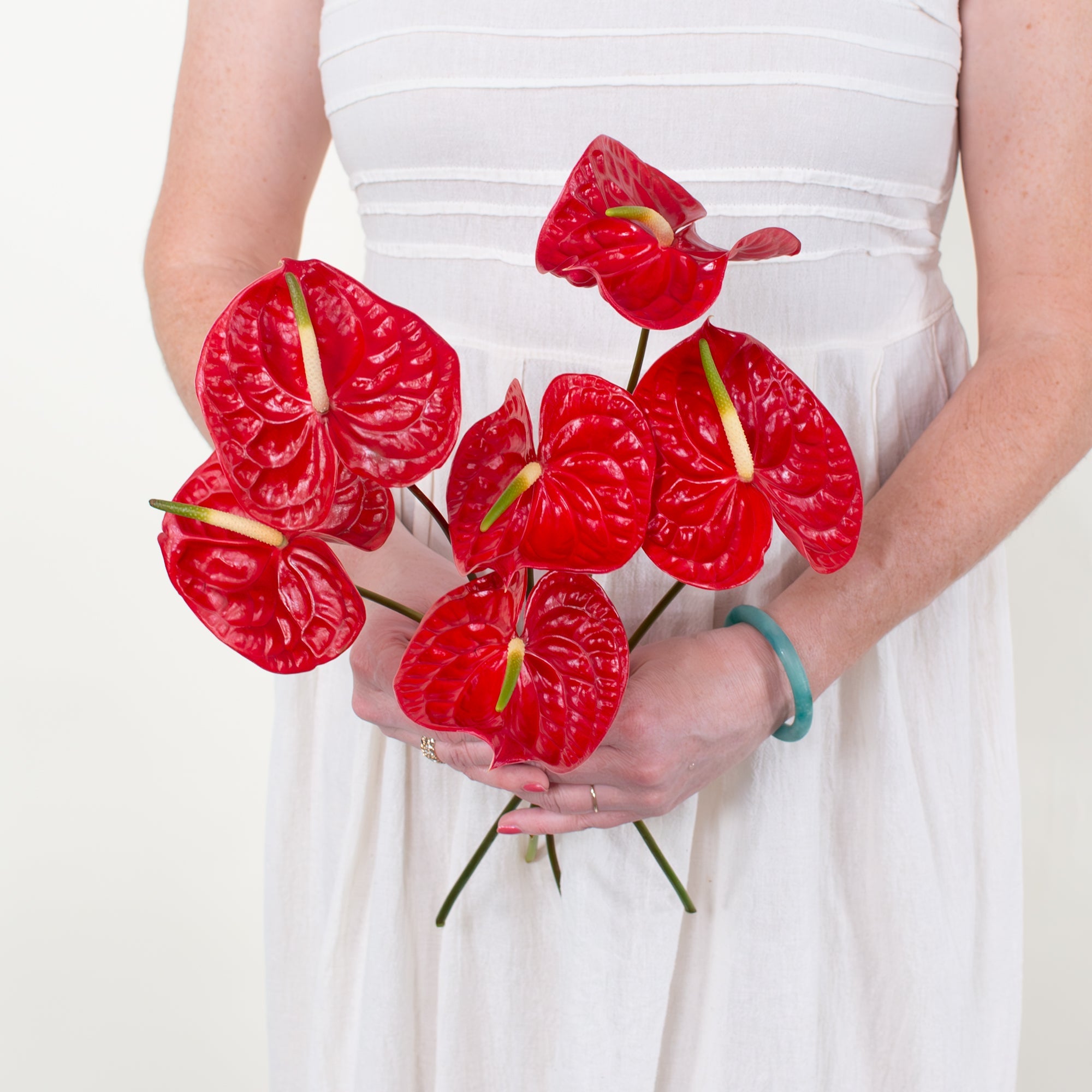 red anthurium