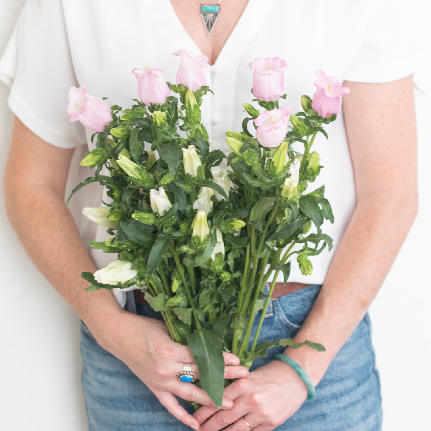 blush pink campanula flower