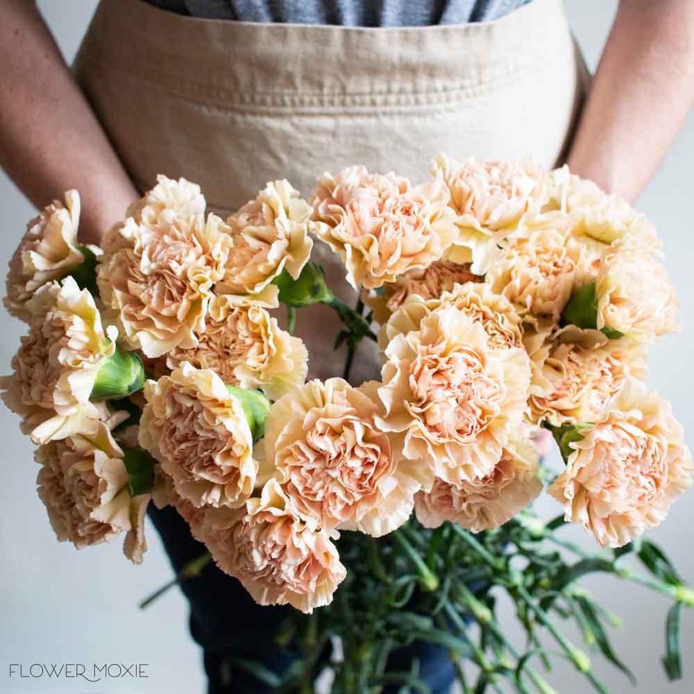 Terracotta Carnation Flower