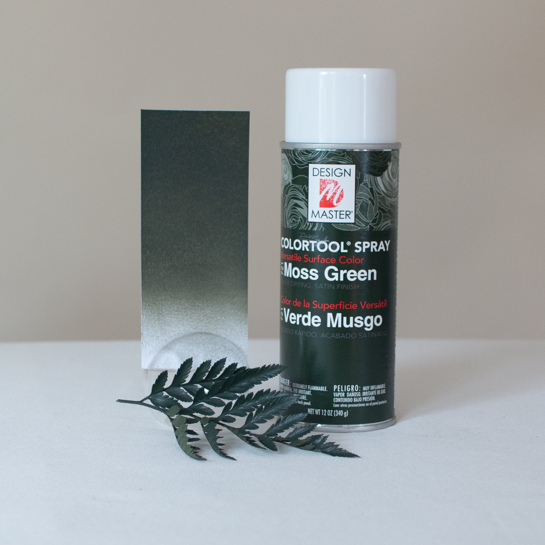 Moss Green Design Master Colortool Floral Spray Paint