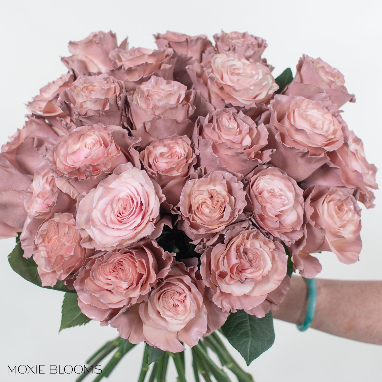 Painted and Dyed Pink Pearl Novelty Rose