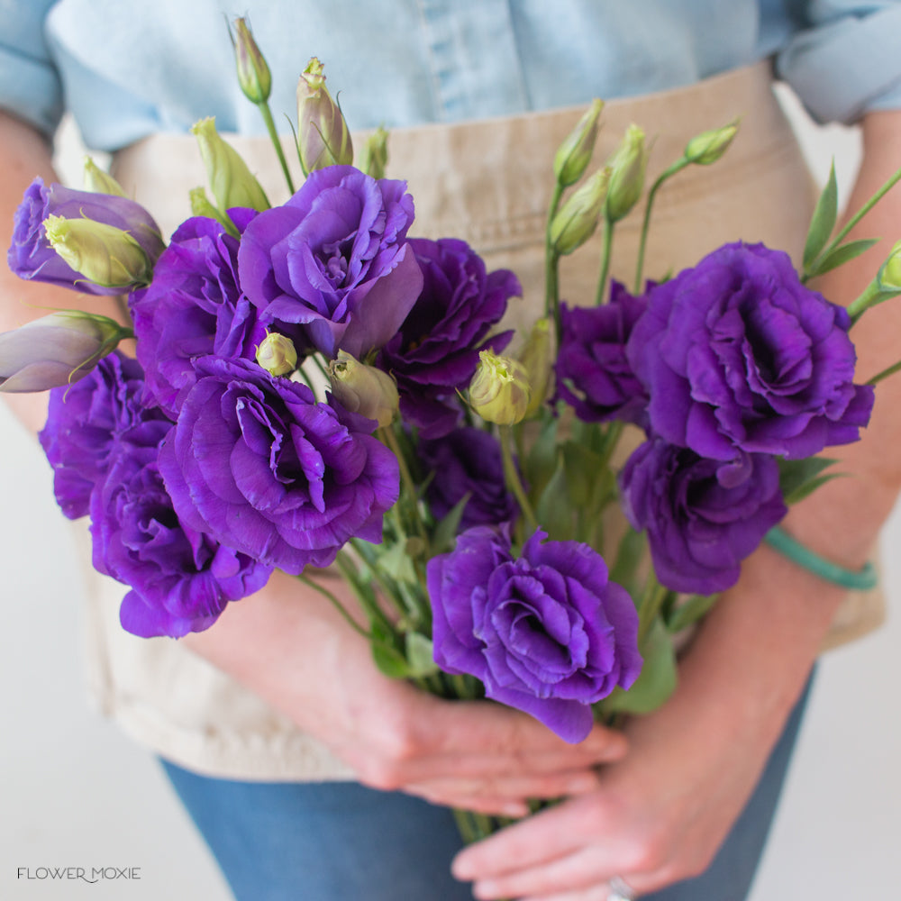 deep purple lisianthus flower