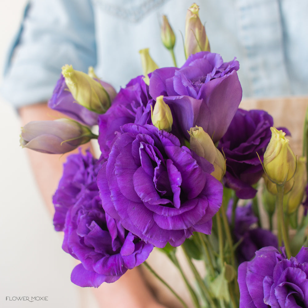 deep purple lisianthus flower