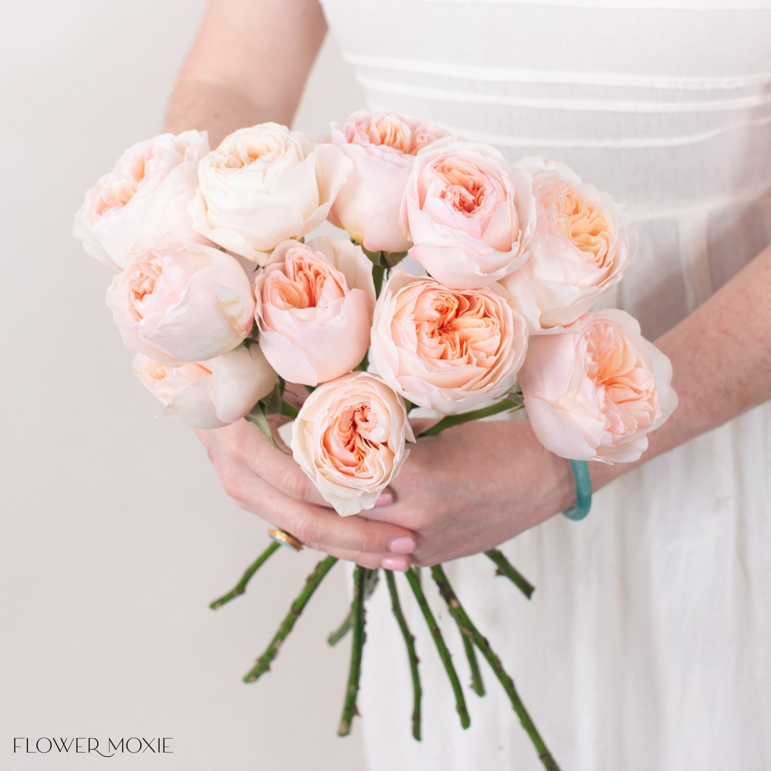 Juliet Peach Garden Roses