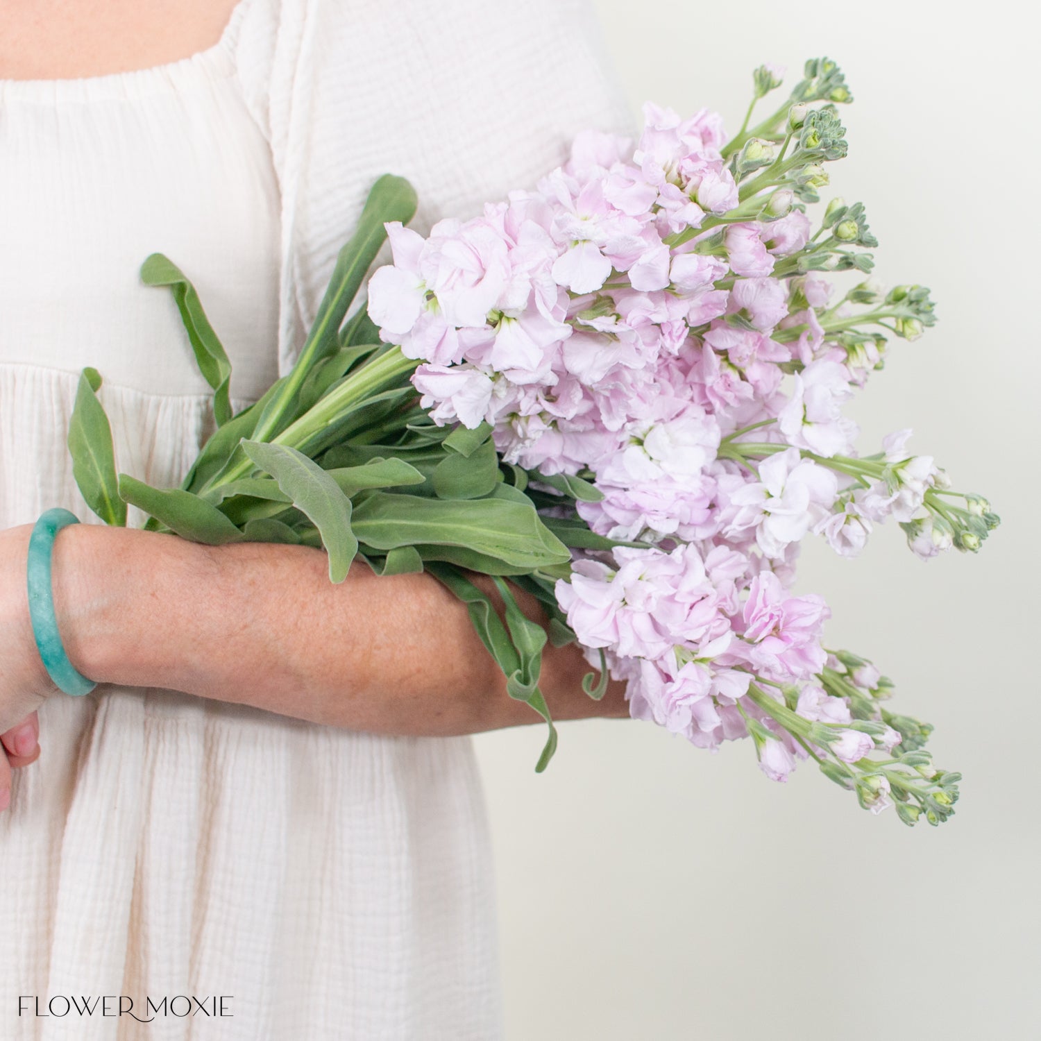 Light Pink Stock Flower