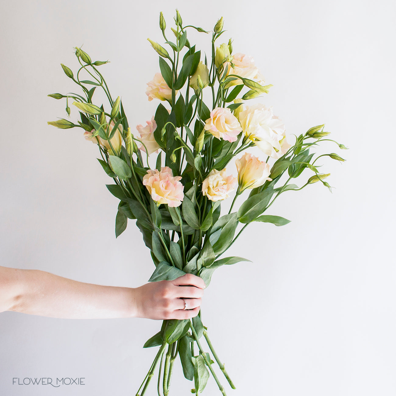 Peachy Pink Lisianthus Flower