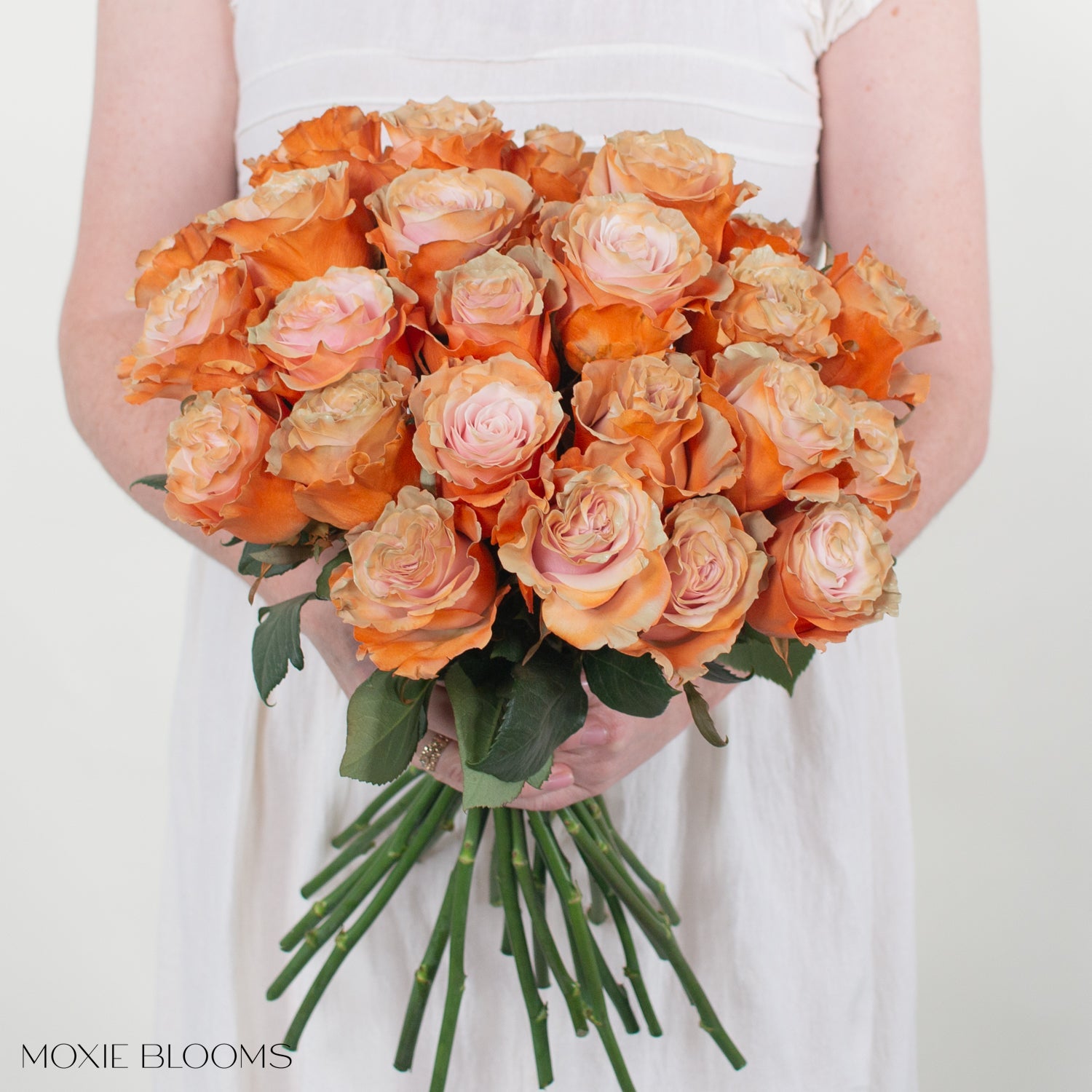 Painted and Dyed Creamsicle Novelty Rose