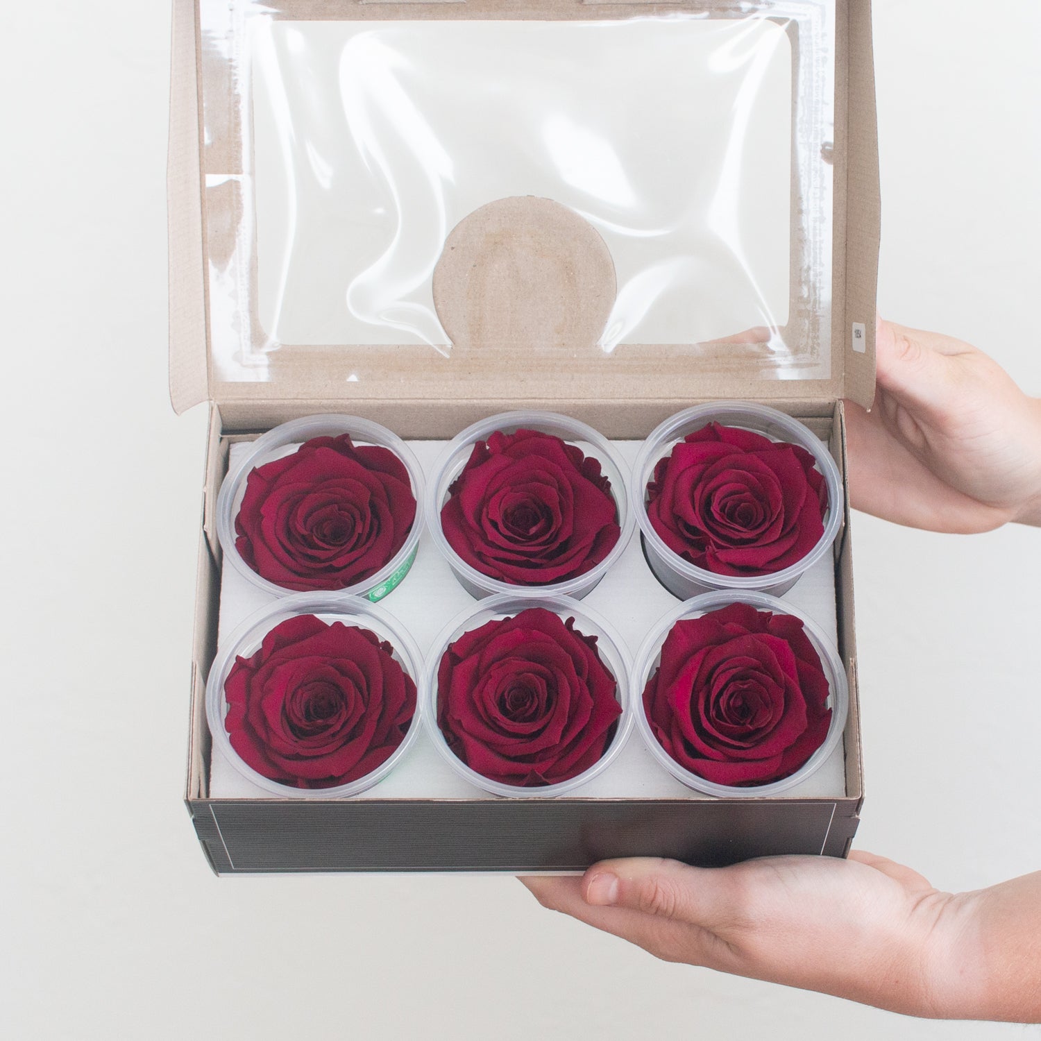 deep berry red preserved roses