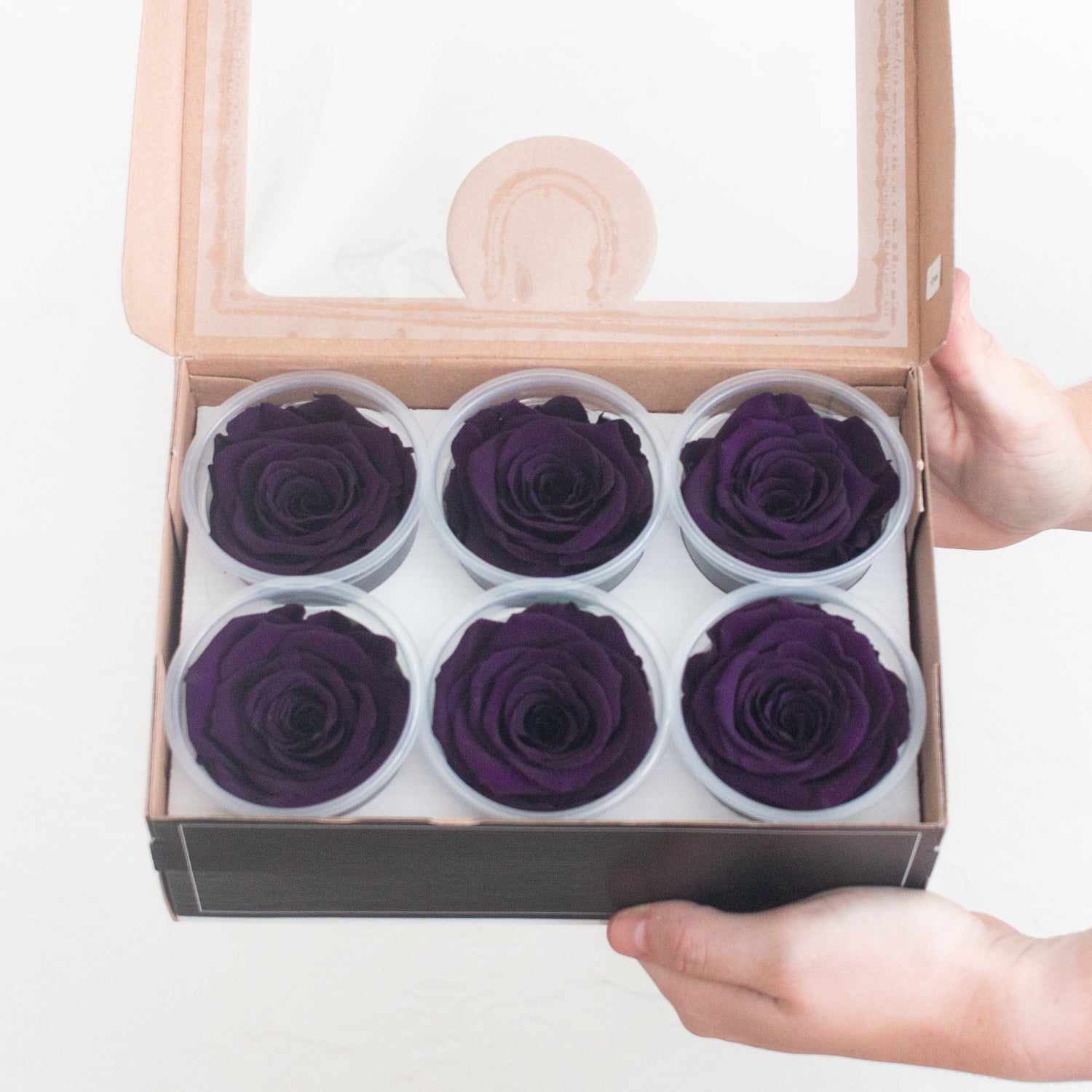 dark purple preserved roses