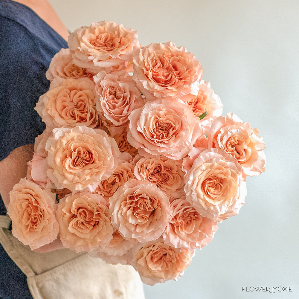 Shimmer Peach Roses