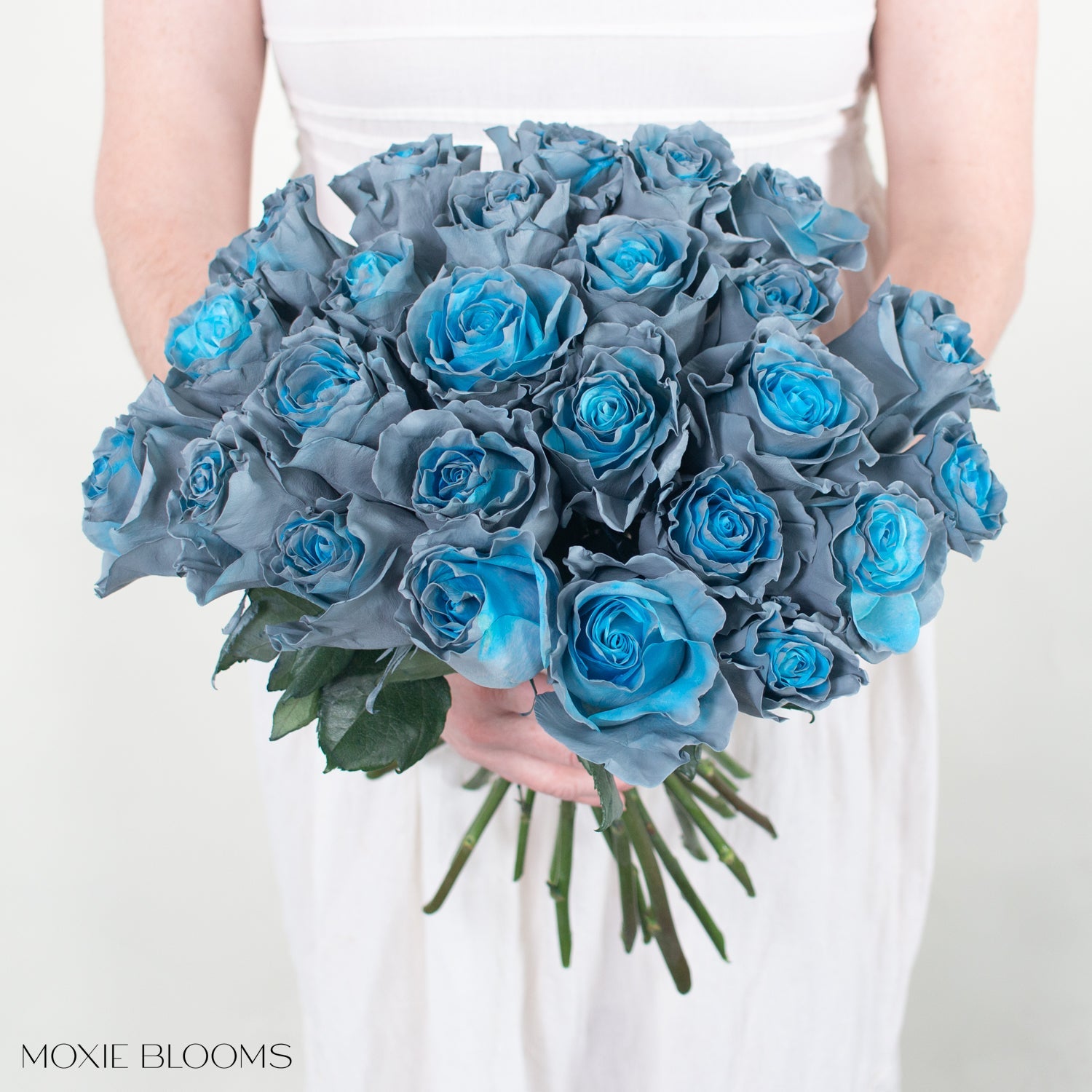 blue rose