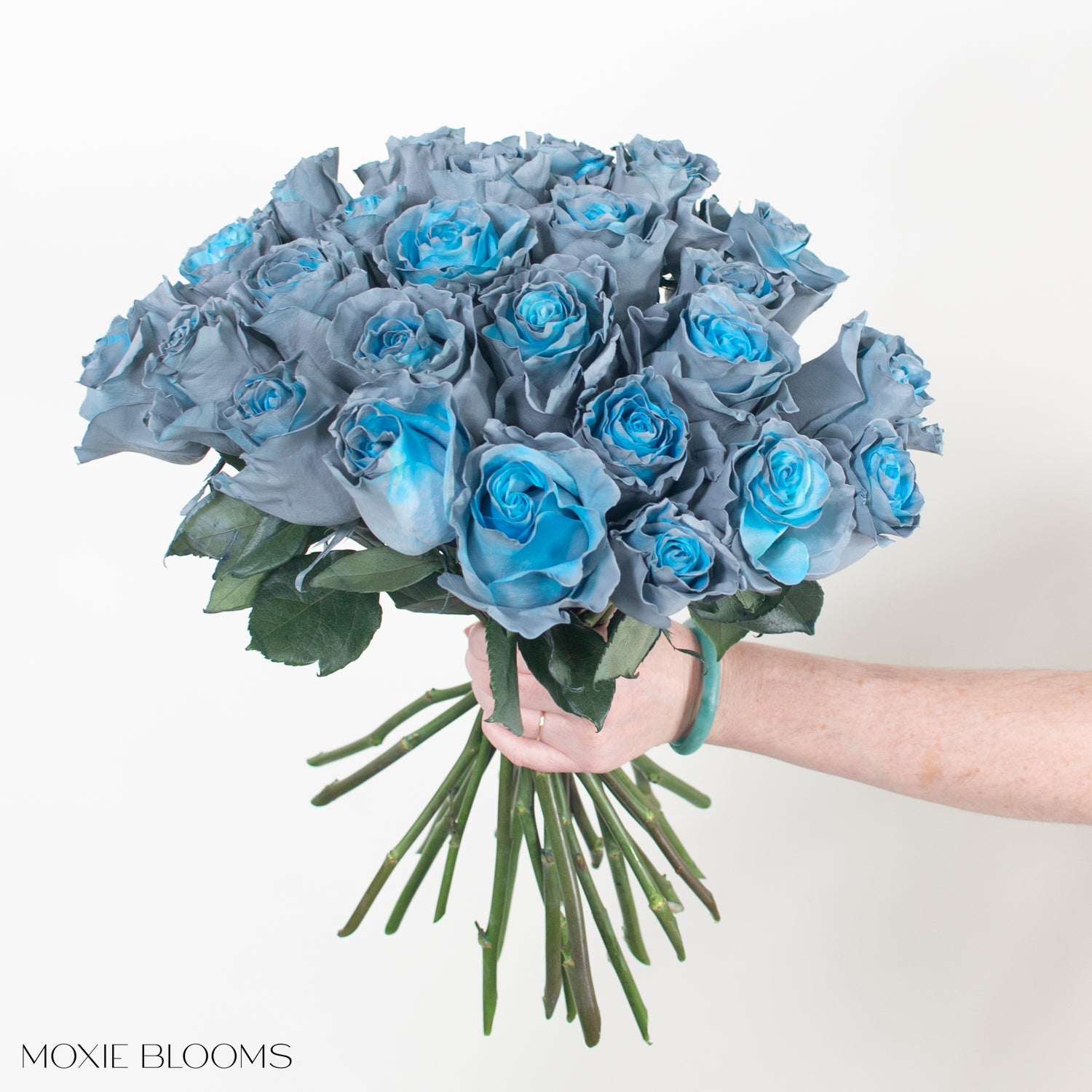 blue grey rose