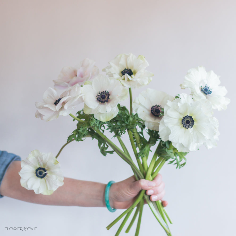 Bunch of white anemone flowers