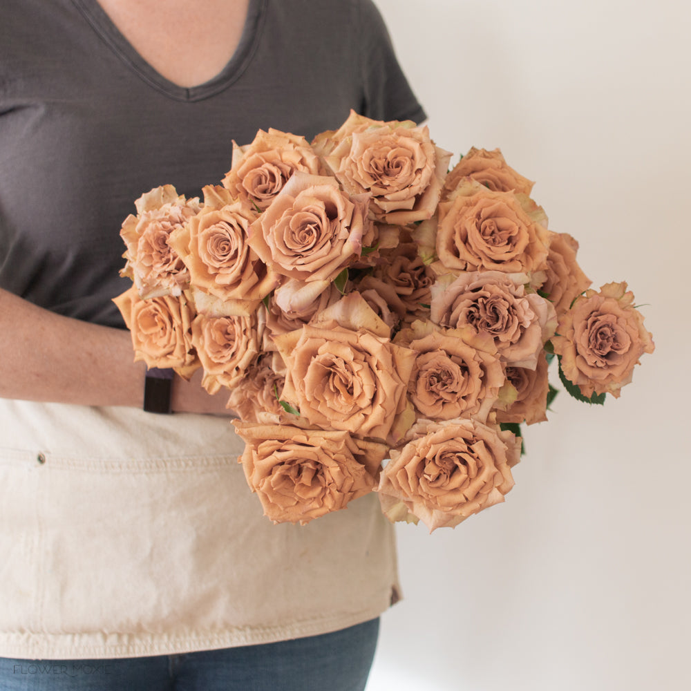 brown toffee rose