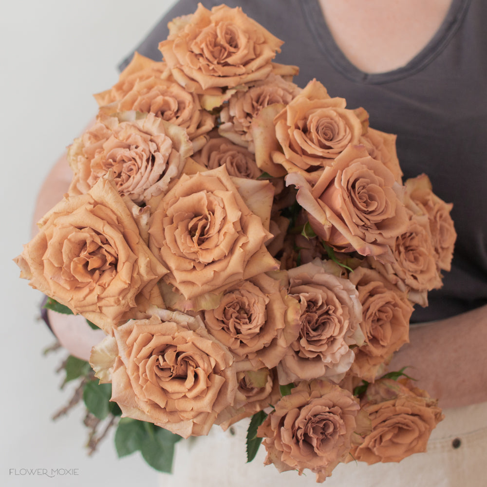 brown toffee rose